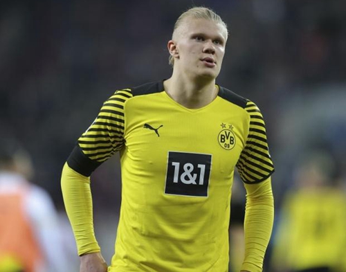 森林狼外线火力全开